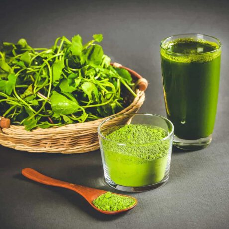 Dây Chuyền Sản Xuất Bột Rau Má, Trà Xanh, Matcha