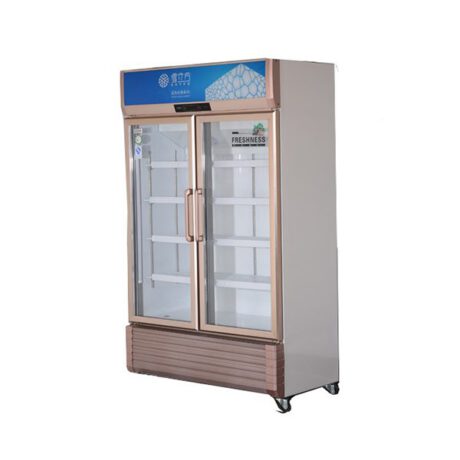 Tủ Mát 2 Cửa LC-918F