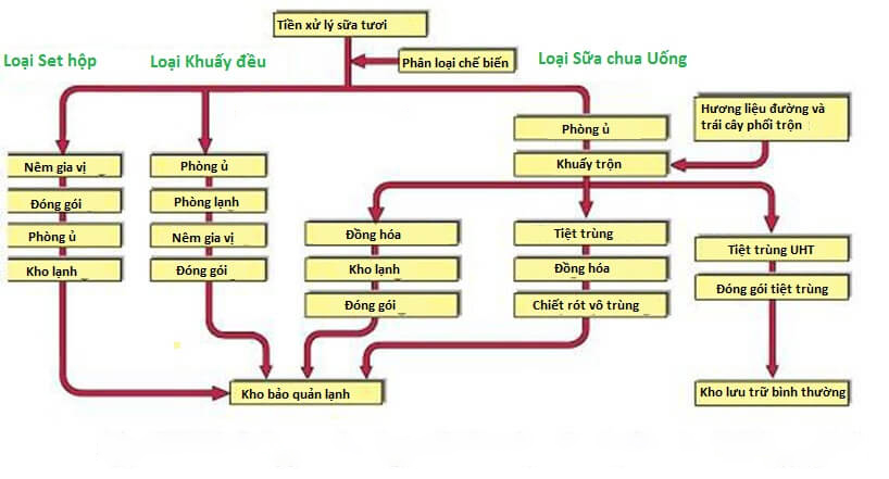 Quá Trình Lên Men Sữa Chua