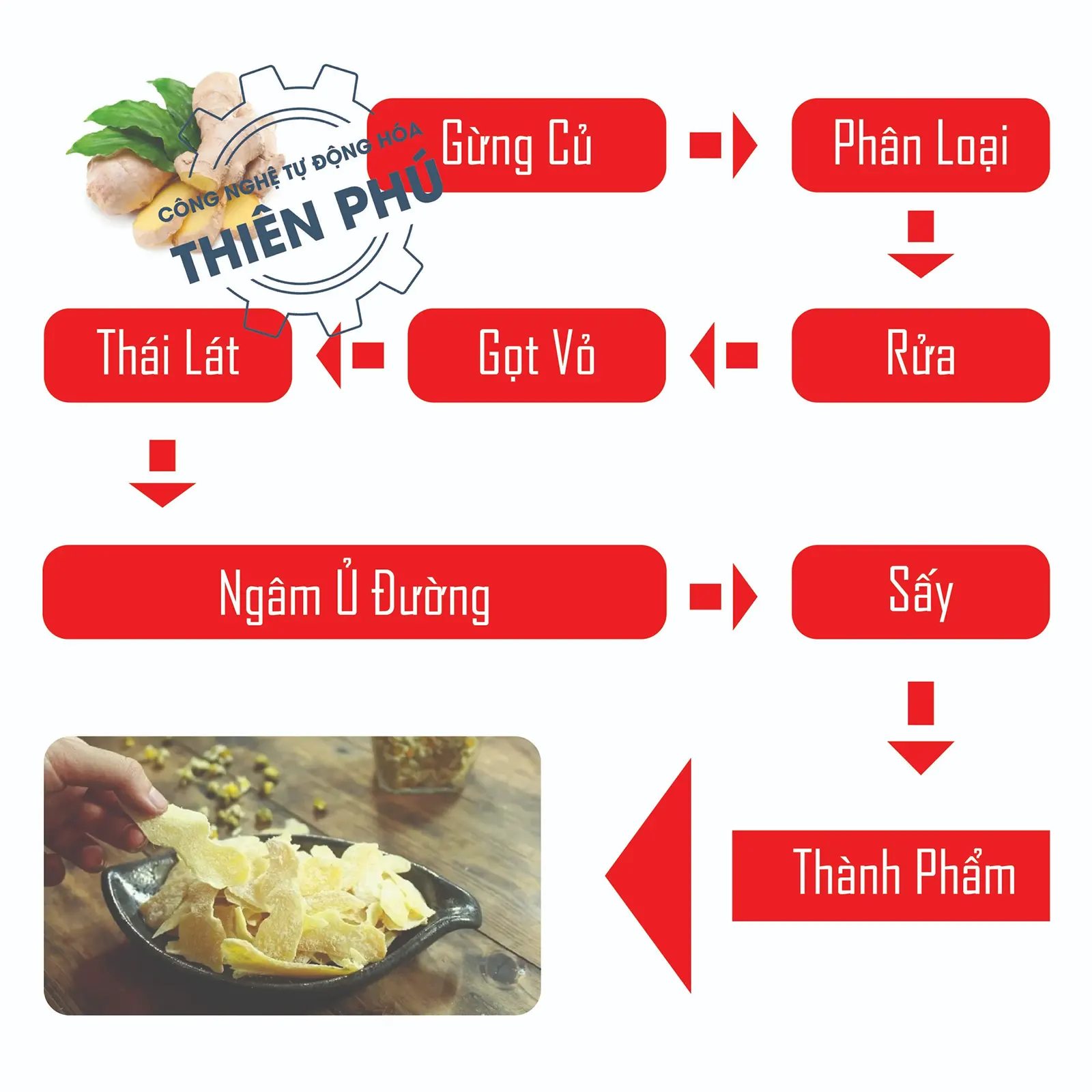 quy trinh san xuat gung say deo 01