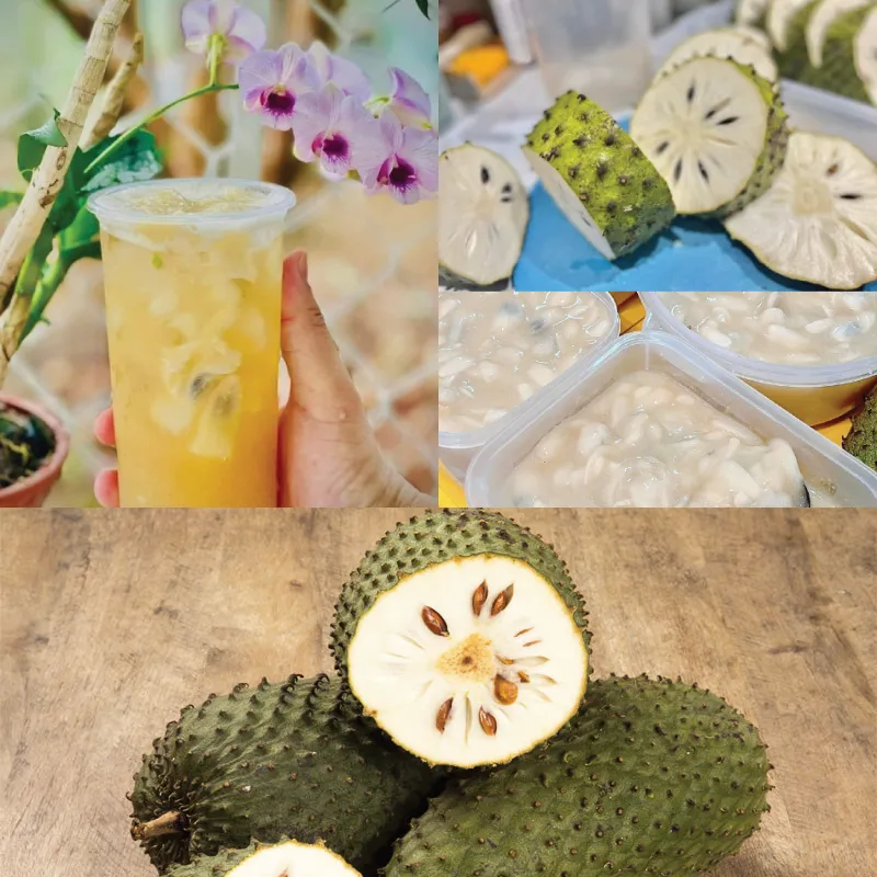 cach lam tra mang cau