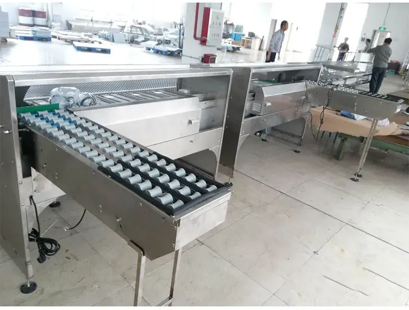 may phan loai trung 03