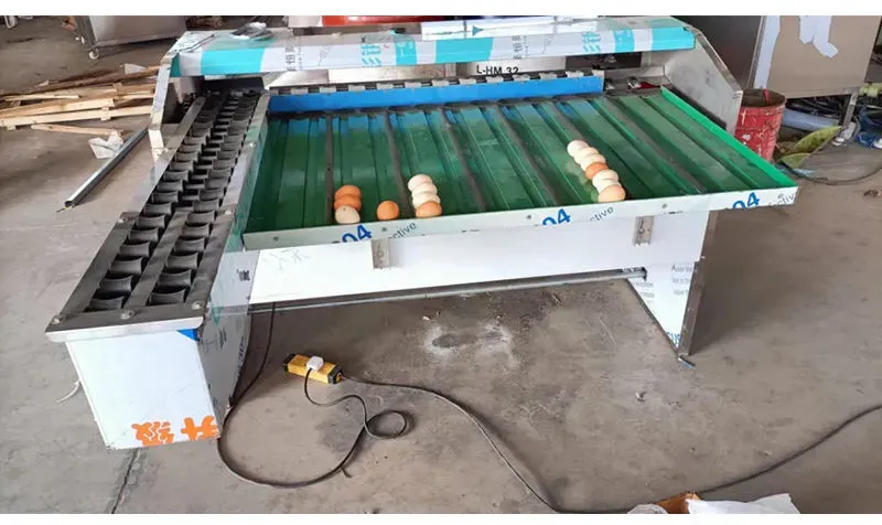 may phan loai trung 04