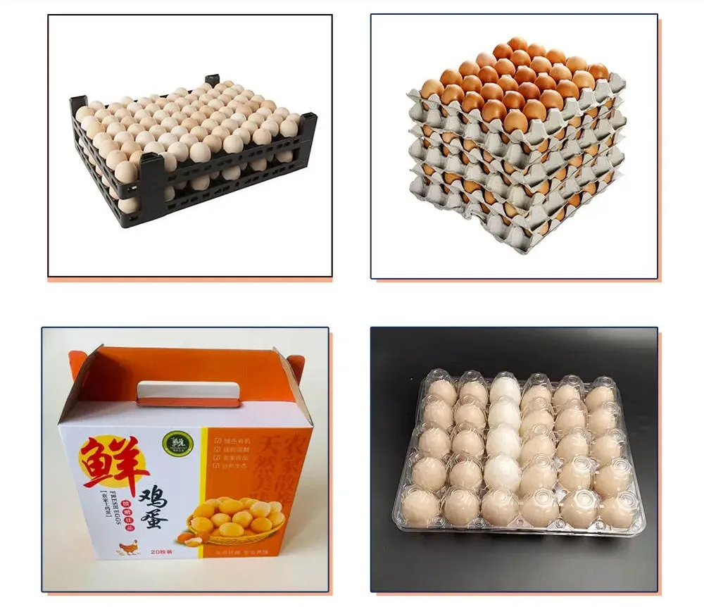 may phan loai trung 05