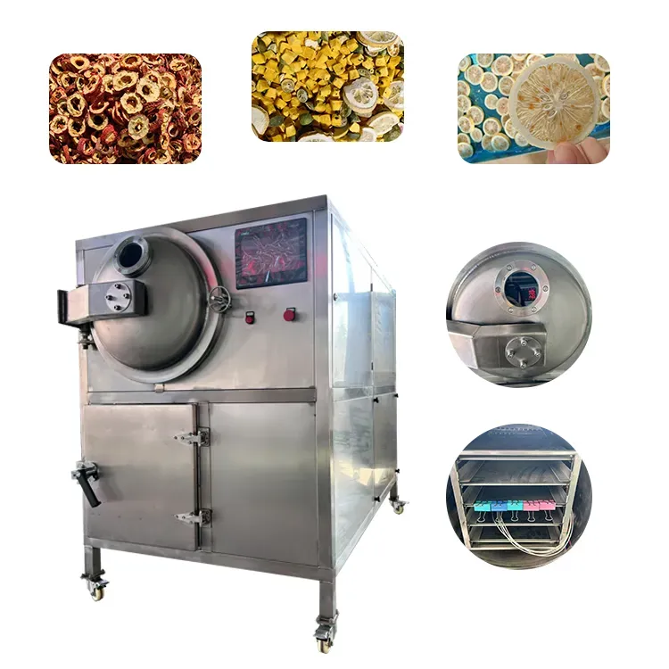 Máy Sấy Thăng Hoa Dạng Tủ Đứng