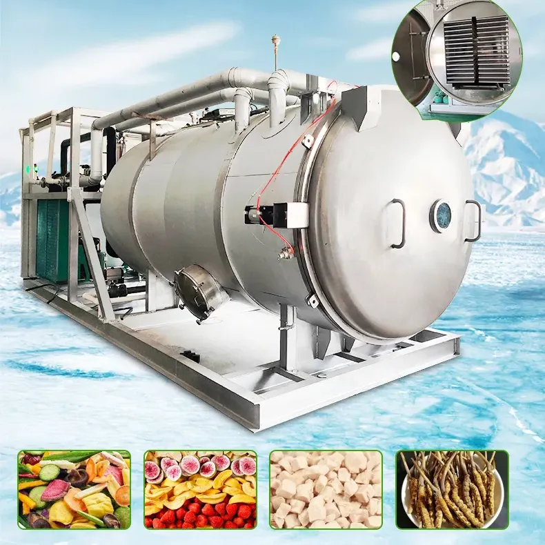 Máy Sấy Thăng Hoa Thực Phẩm