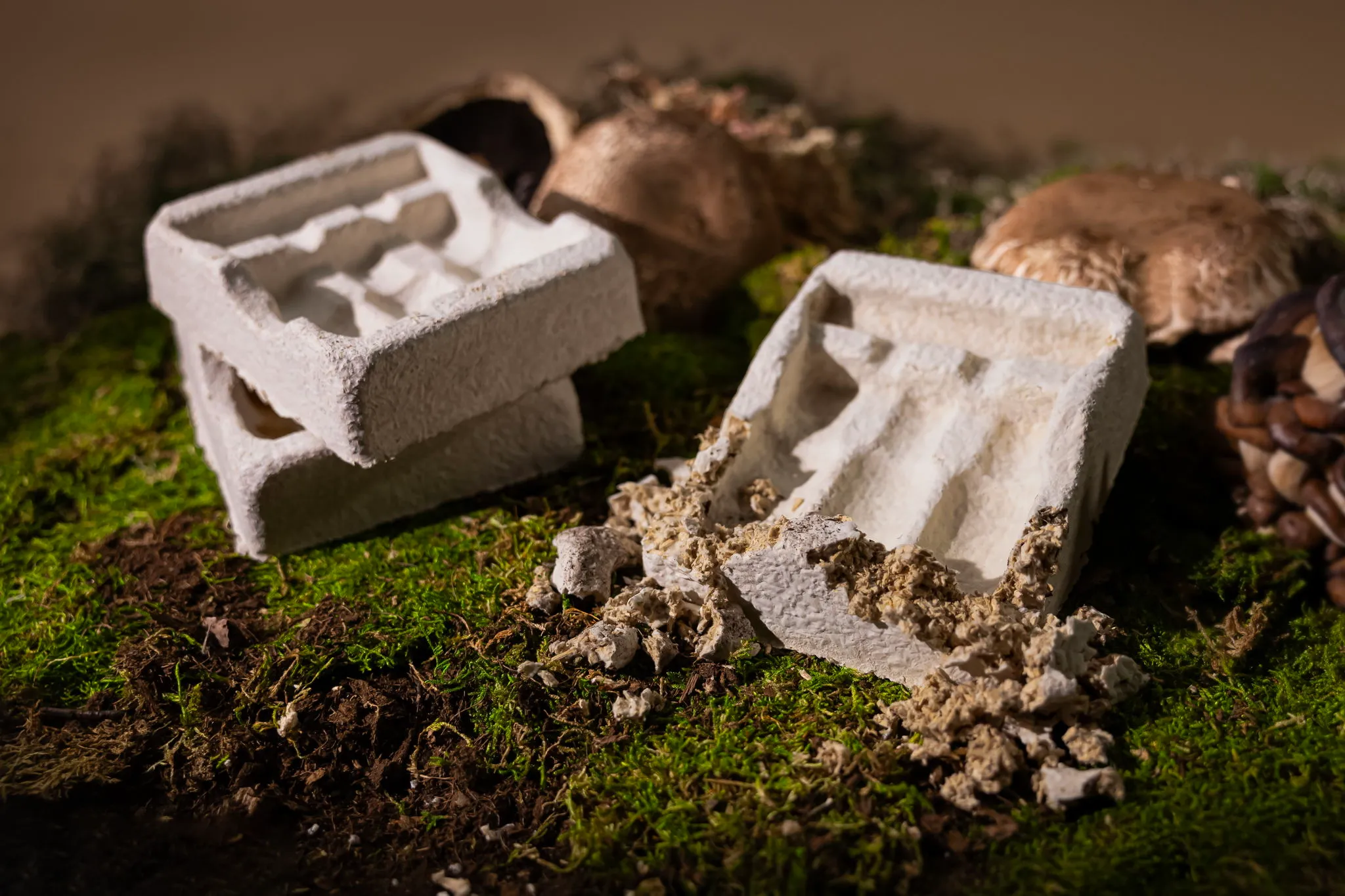 10 Giải Pháp Đóng Gói Bền Vững Tiết Kiệm Chi Phí – Đẩy Mạnh Phát Triển Kinh Doanh 14 Bao bì nấm